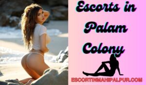 Escorts in Palam Colony 