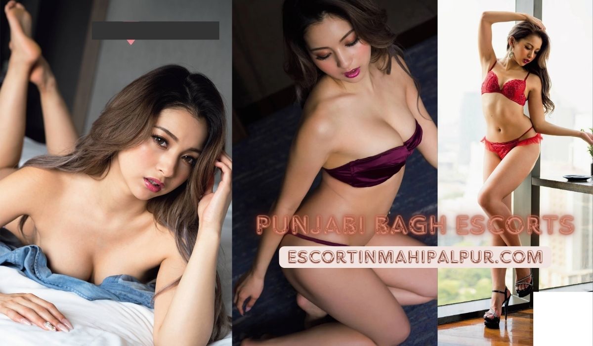 Punjabi Bagh Escorts
