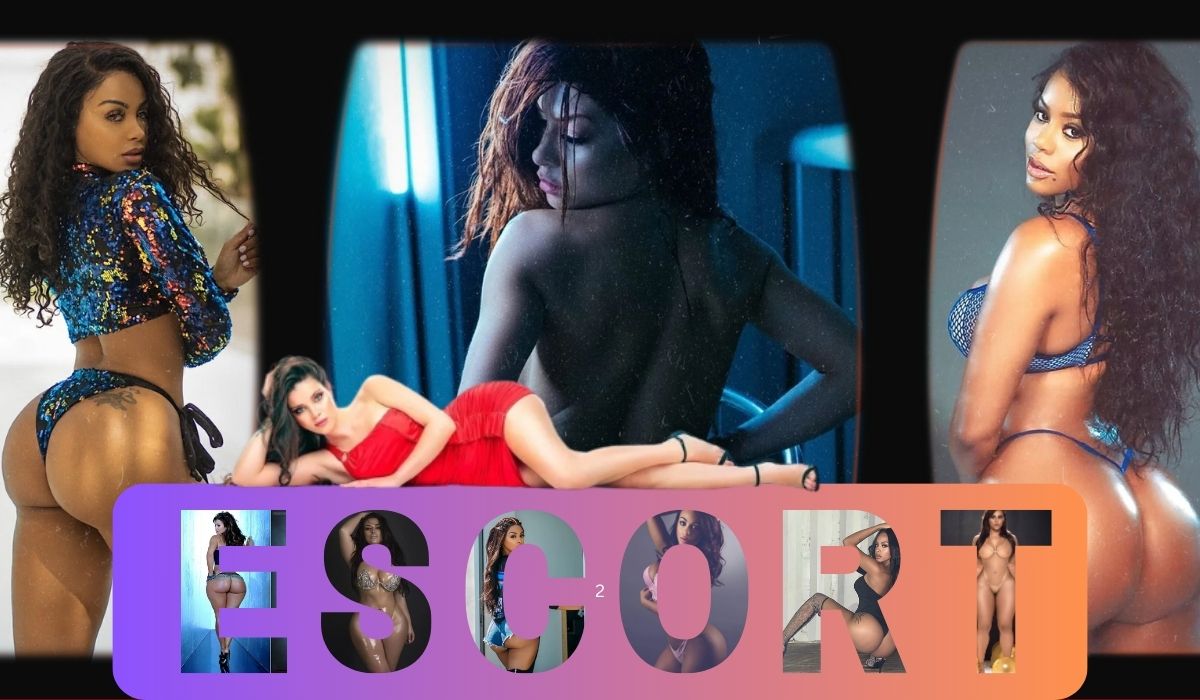 Palam Village Escorts Service