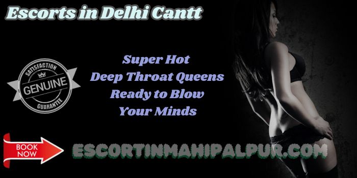 Escorts in Delhi Cantt